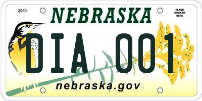 NE license plate DIA001