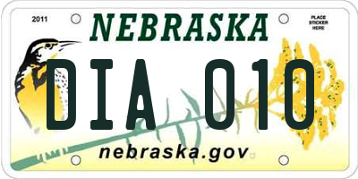 NE license plate DIA010