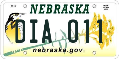 NE license plate DIA011