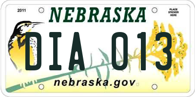 NE license plate DIA013