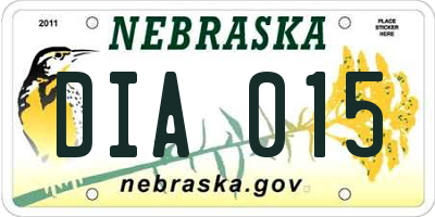 NE license plate DIA015