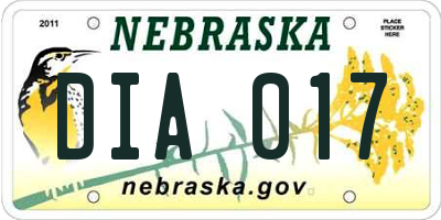 NE license plate DIA017