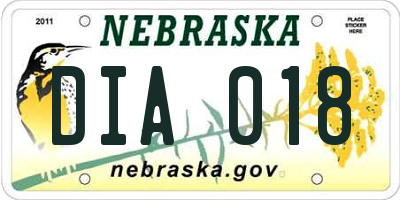 NE license plate DIA018