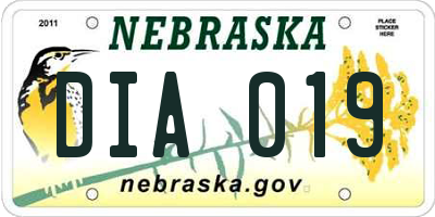 NE license plate DIA019