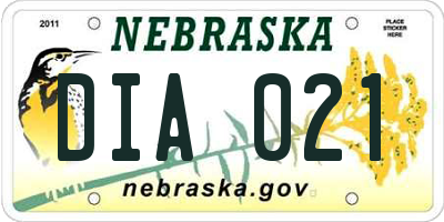 NE license plate DIA021
