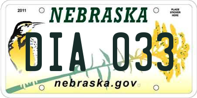 NE license plate DIA033