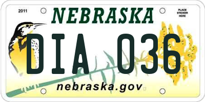 NE license plate DIA036