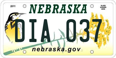 NE license plate DIA037