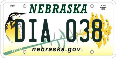 NE license plate DIA038