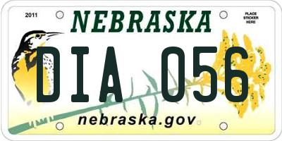 NE license plate DIA056