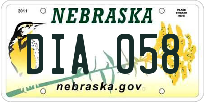 NE license plate DIA058