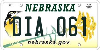 NE license plate DIA061