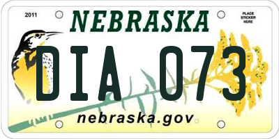 NE license plate DIA073