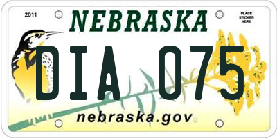 NE license plate DIA075