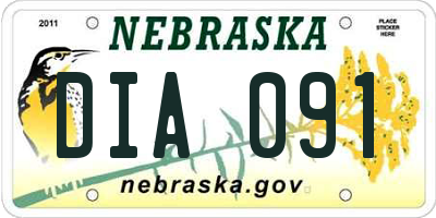 NE license plate DIA091