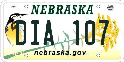 NE license plate DIA107
