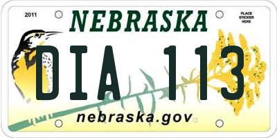 NE license plate DIA113