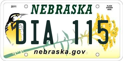 NE license plate DIA115