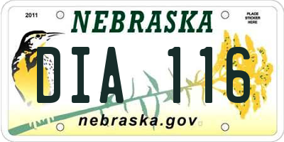 NE license plate DIA116