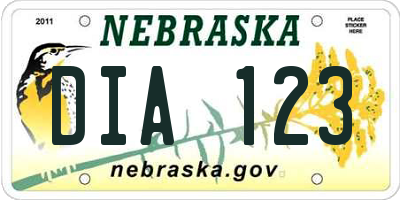 NE license plate DIA123