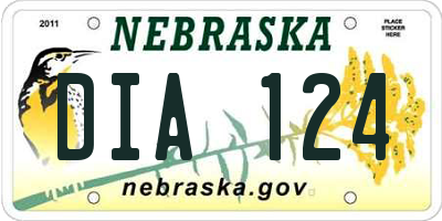 NE license plate DIA124