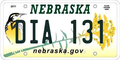 NE license plate DIA131