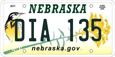 NE license plate DIA135