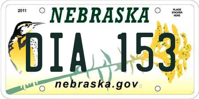 NE license plate DIA153