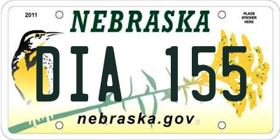 NE license plate DIA155