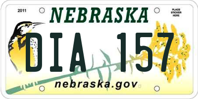 NE license plate DIA157