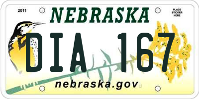 NE license plate DIA167