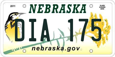 NE license plate DIA175