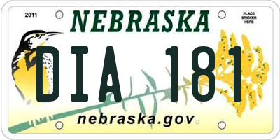 NE license plate DIA181