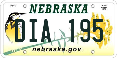 NE license plate DIA195