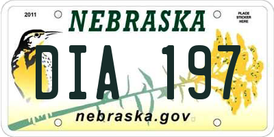 NE license plate DIA197