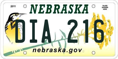 NE license plate DIA216
