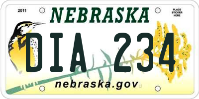 NE license plate DIA234