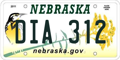 NE license plate DIA312