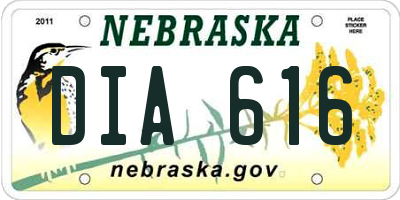 NE license plate DIA616