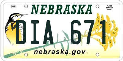 NE license plate DIA671