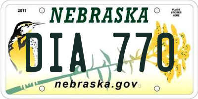 NE license plate DIA770