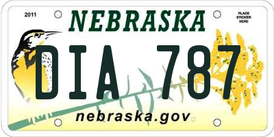 NE license plate DIA787