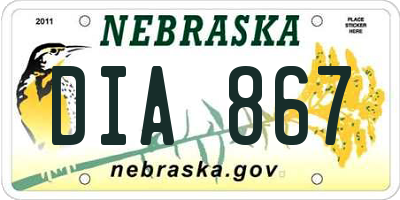 NE license plate DIA867
