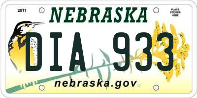 NE license plate DIA933