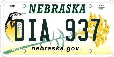 NE license plate DIA937