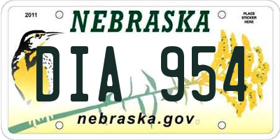NE license plate DIA954