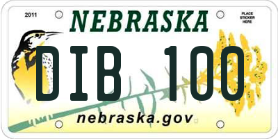 NE license plate DIB100