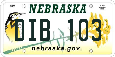 NE license plate DIB103