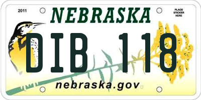 NE license plate DIB118