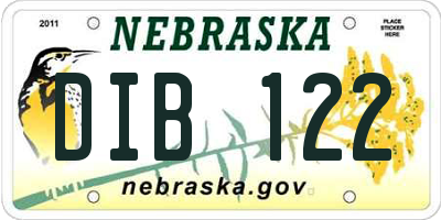 NE license plate DIB122